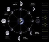 moon phases